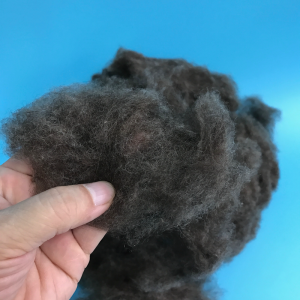 Carded and Combed sheep wool from China