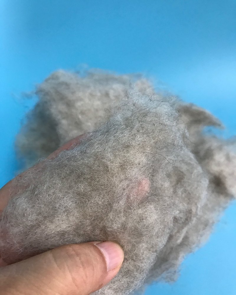 Light gray comb wool - Image 4