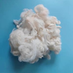 Scoured sheep wool NZ