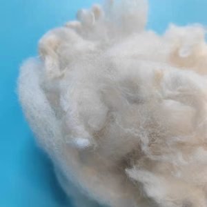 Scoured sheep wool UK