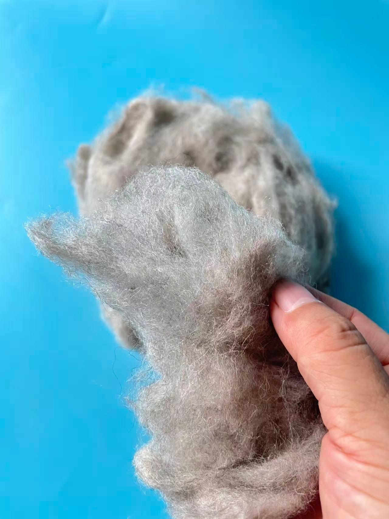 Combed Sheep Wool in Natural Gray Color – Premium Filling Material for Quilts - Image 3