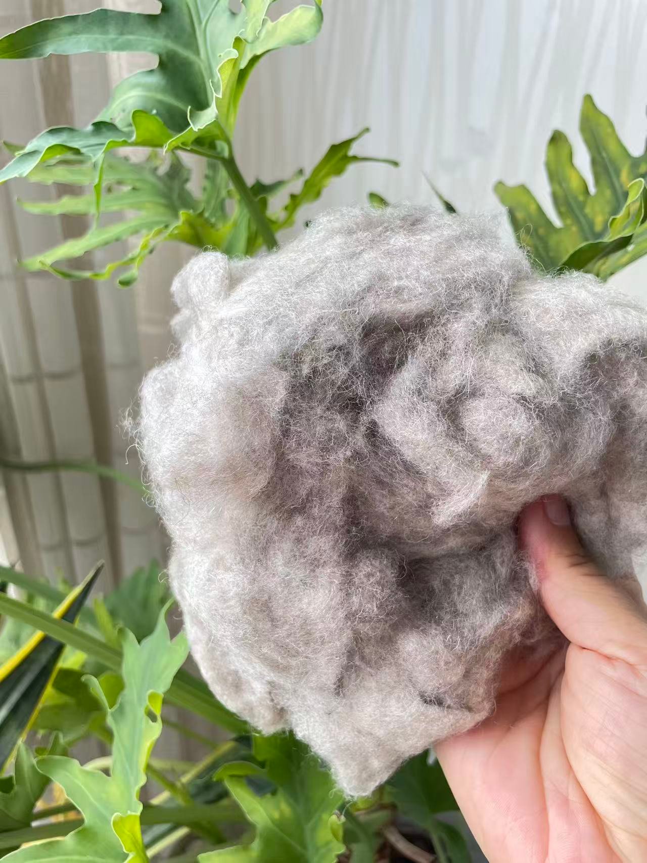 Combed Sheep Wool in Natural Gray Color – Premium Filling Material for Quilts