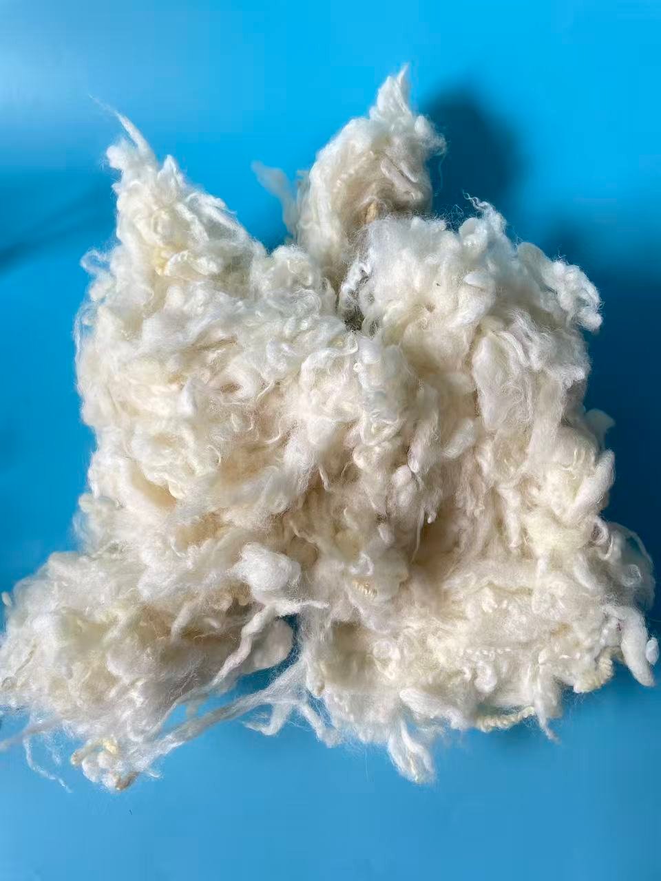2025 the new harvest of New Zealand Carbonized Wool (Coarse Grade) - Image 5