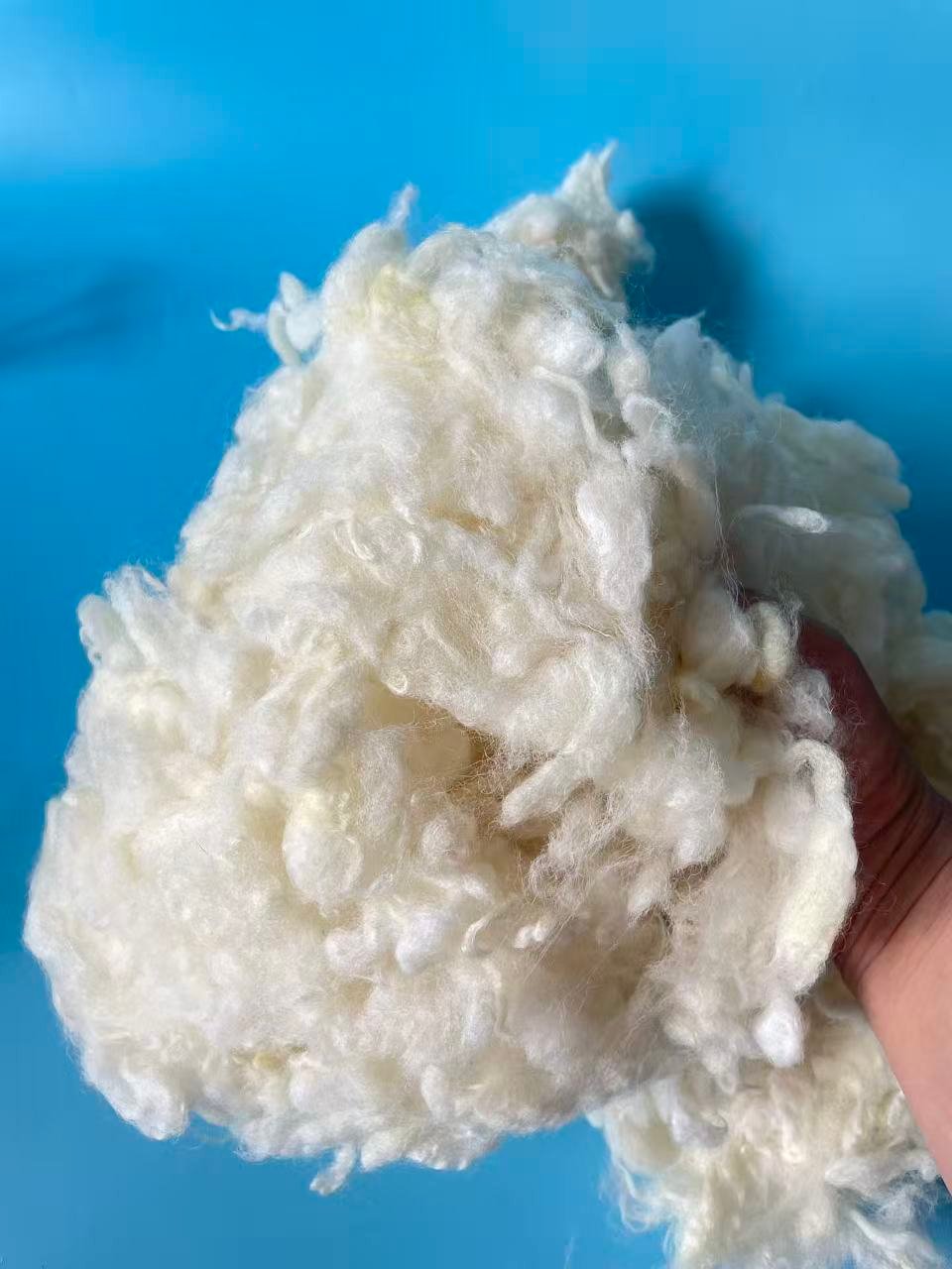 2025 the new harvest of New Zealand Carbonized Wool (Coarse Grade) - Image 4