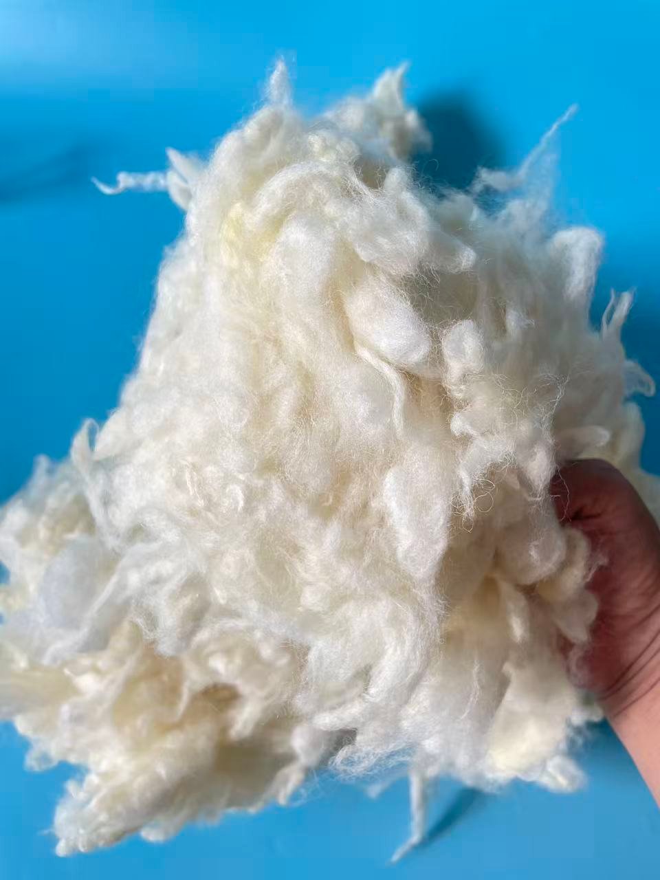 2025 the new harvest of New Zealand Carbonized Wool (Coarse Grade) - Image 3