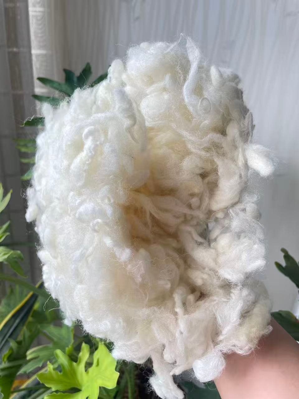 2025 the new harvest of New Zealand Carbonized Wool (Coarse Grade)