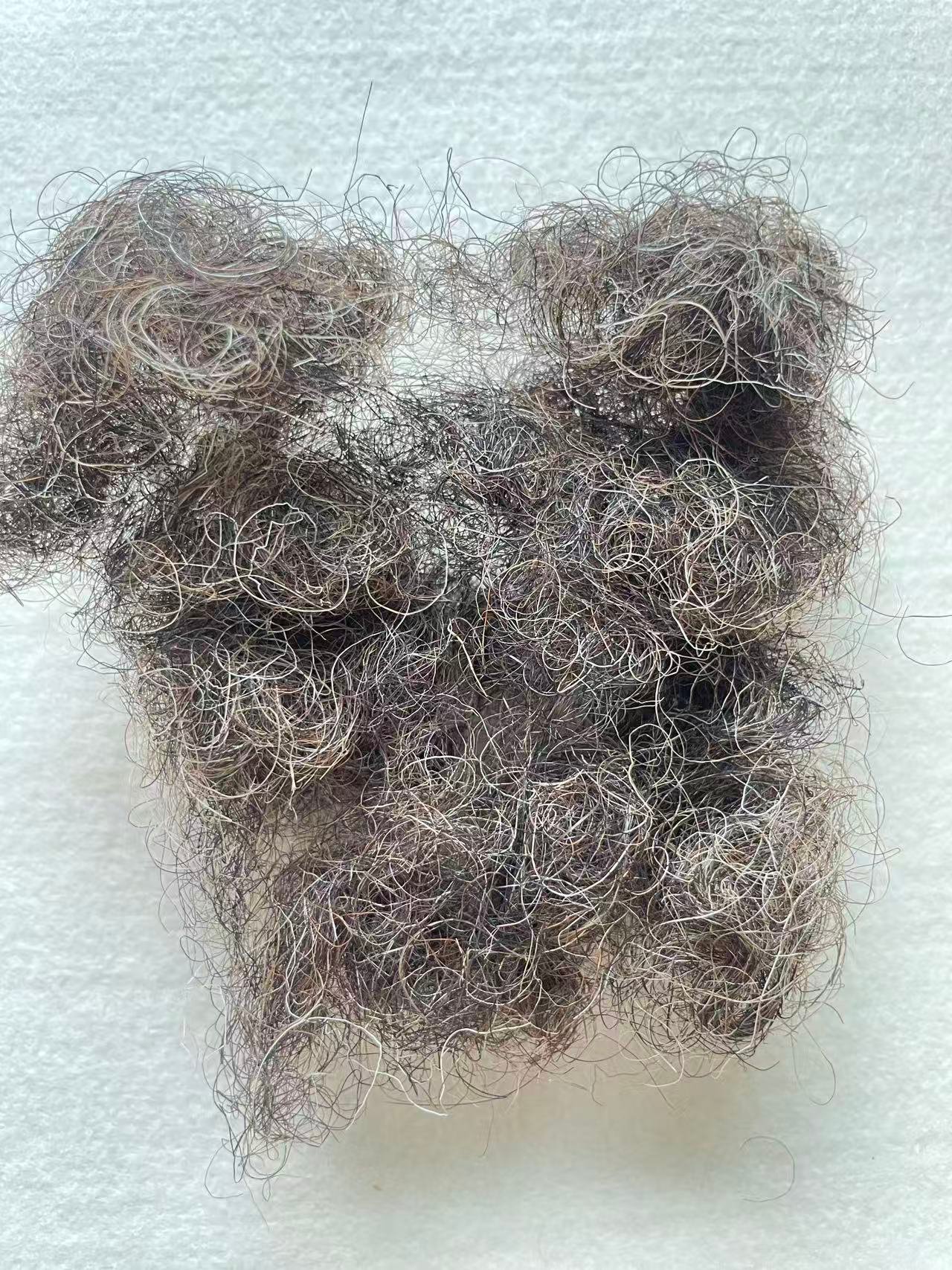 Natural grey color Crimped Horse hair for Beds and mattresses - Image 4