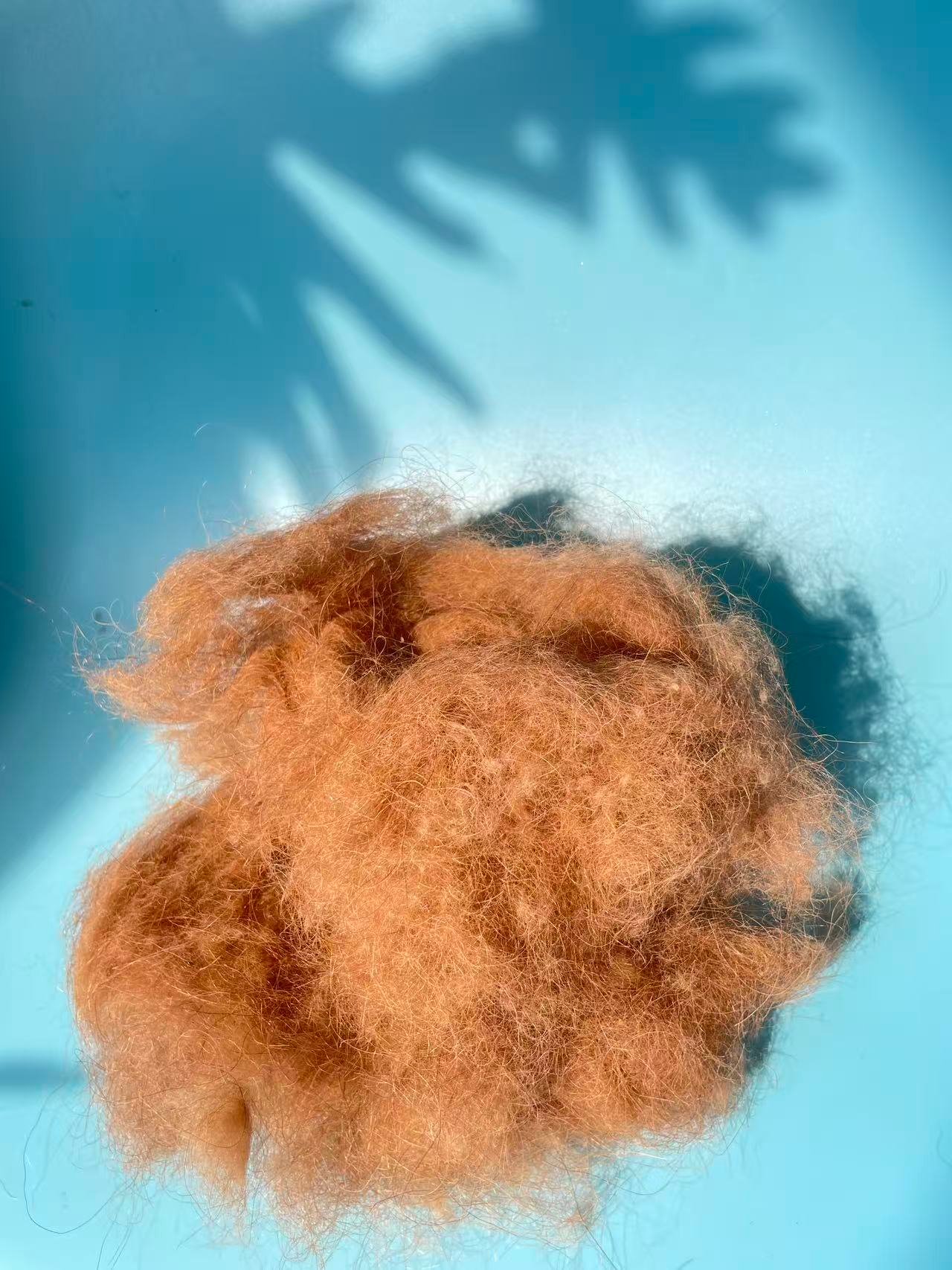 Camel Hair for Mattress Filling – Natural Comfort and Premium Quality - Image 5
