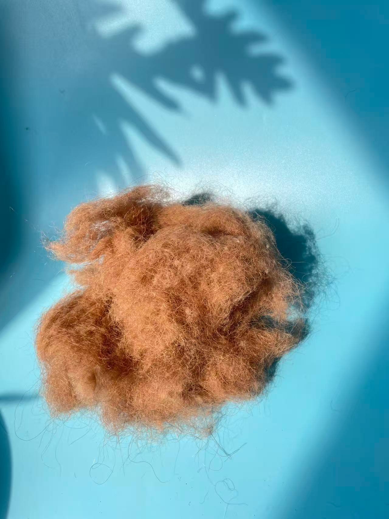 Camel Hair for Mattress Filling – Natural Comfort and Premium Quality - Image 4