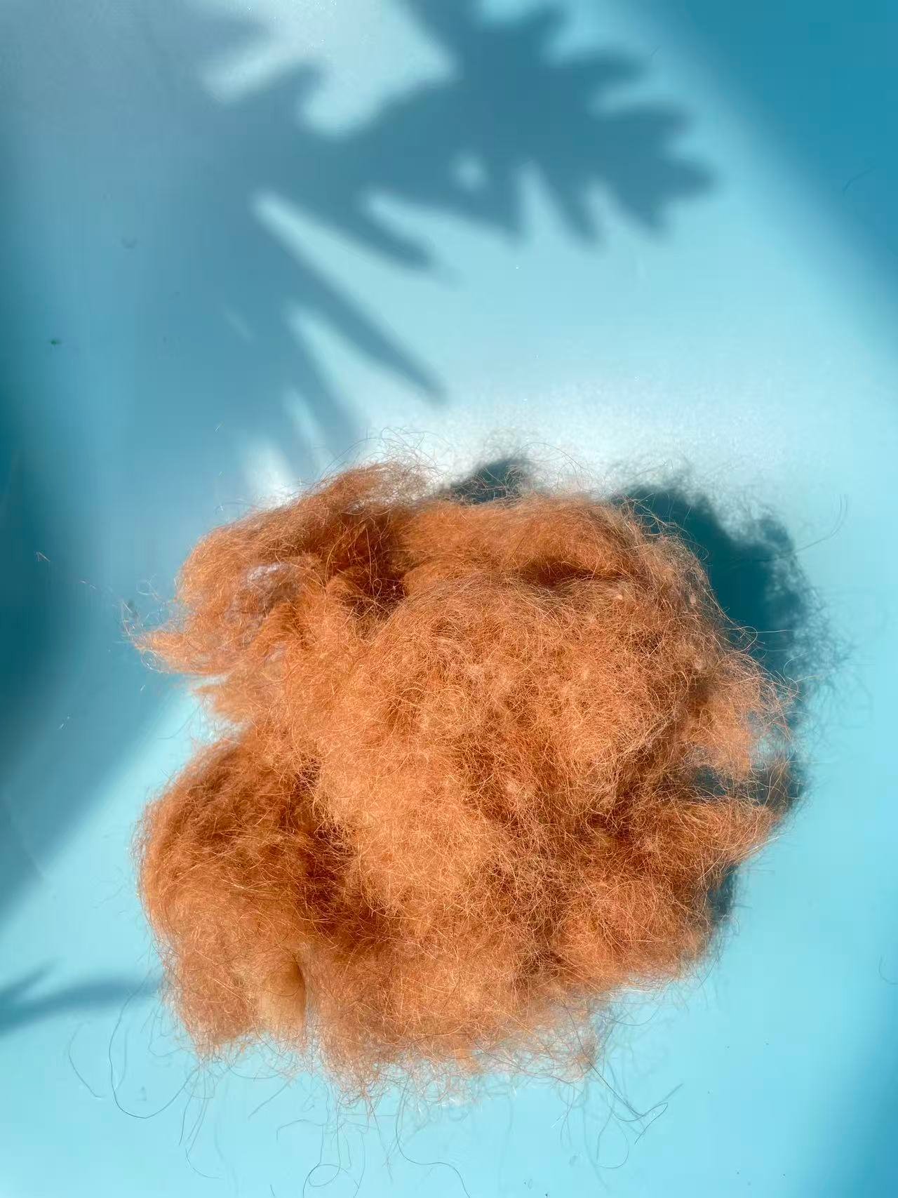 Camel Hair for Mattress Filling – Natural Comfort and Premium Quality - Image 3