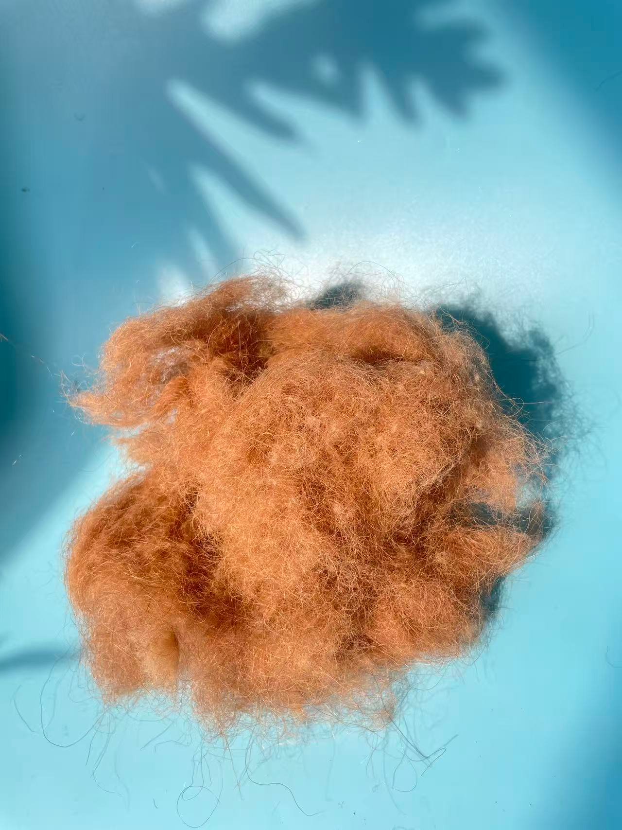 Camel Hair for Mattress Filling – Natural Comfort and Premium Quality - Image 2
