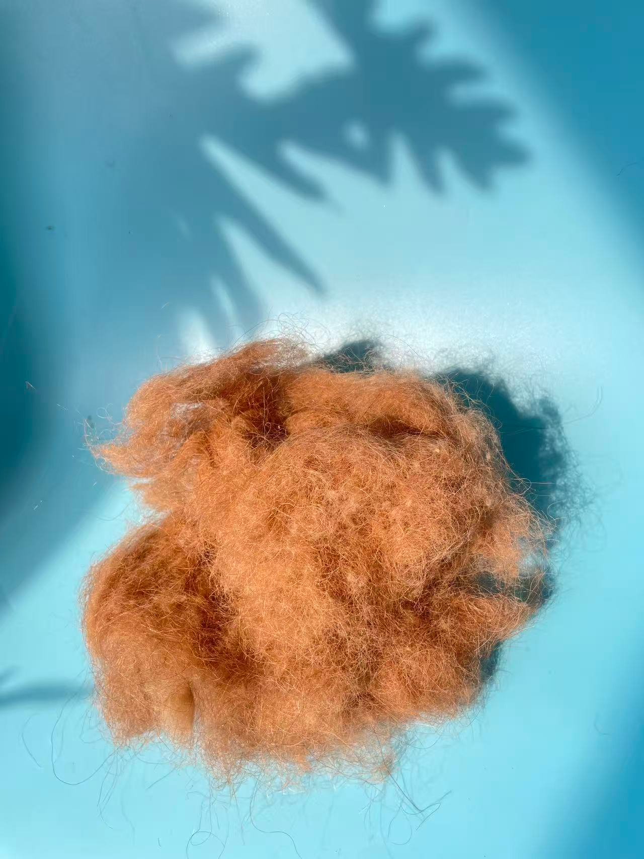 Camel Hair for Mattress Filling – Natural Comfort and Premium Quality