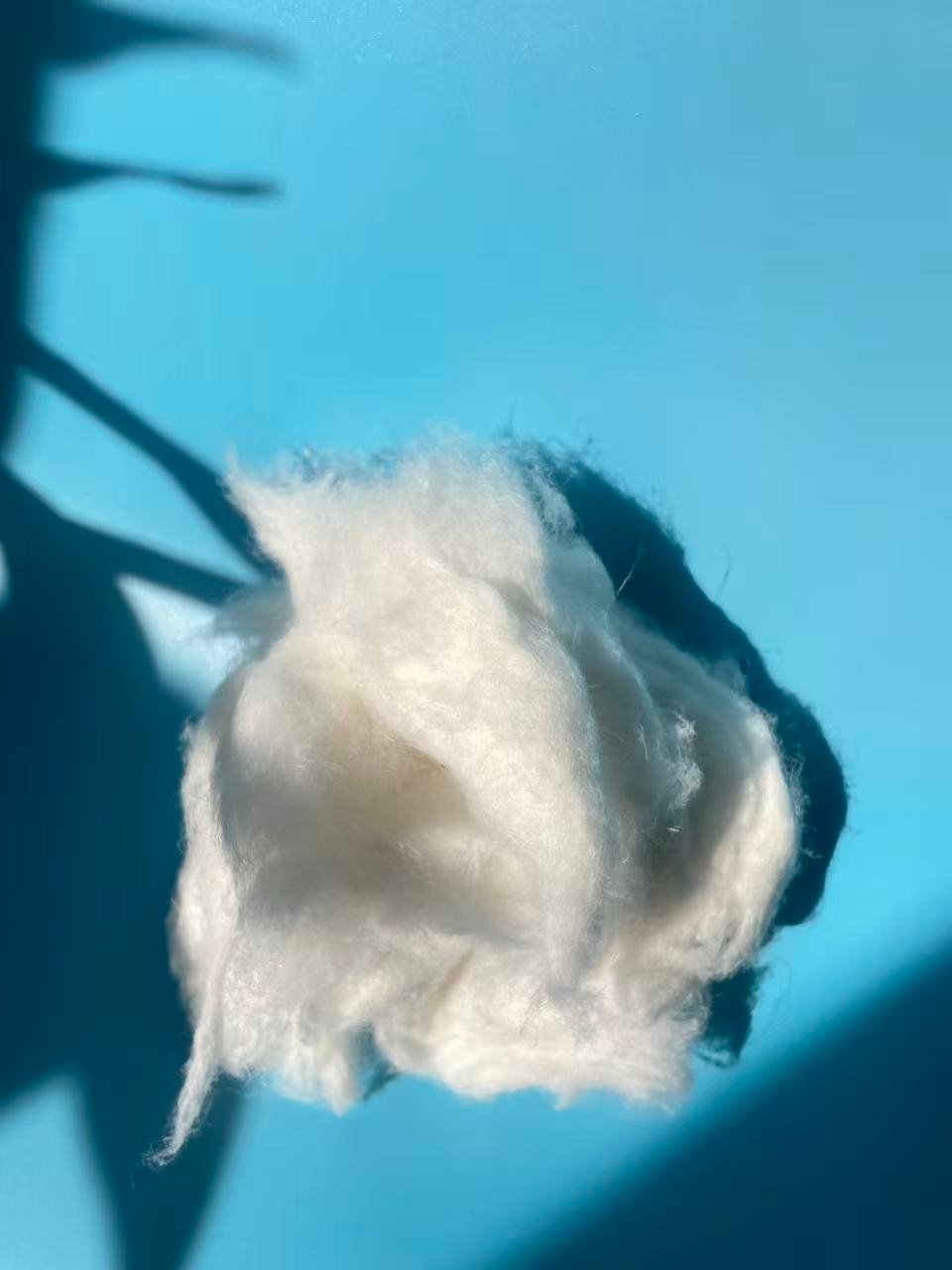 Hemp fiber - Image 3