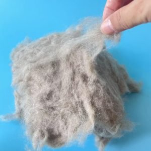 Raccoon fiber for Spinning Yarn