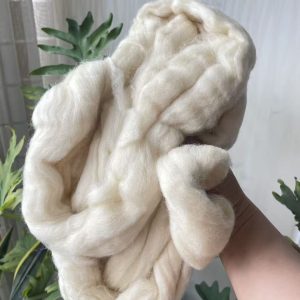 Uruguayan Wool Short Tops – Premium Quality for Spinning and Textile Applications