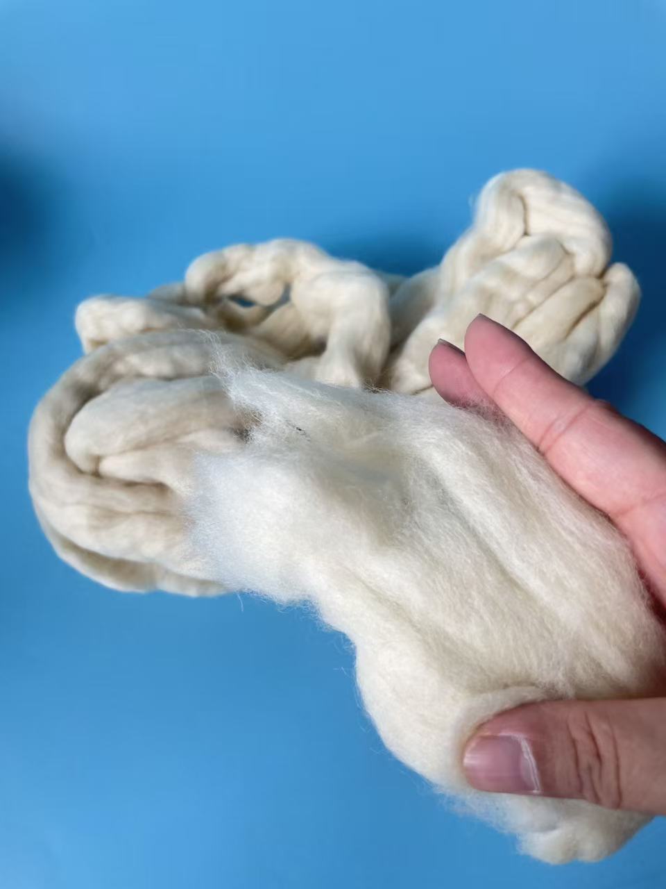Uruguayan Wool Short Tops – Premium Quality for Spinning and Textile Applications - Image 2