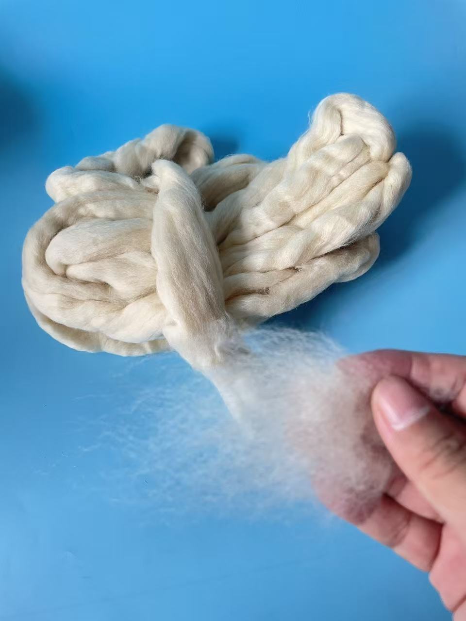 Uruguayan Wool Short Tops – Premium Quality for Spinning and Textile Applications - Image 4